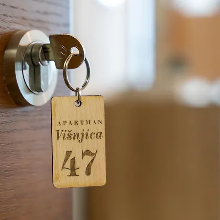 Visnjica Free & Pool Appartement *