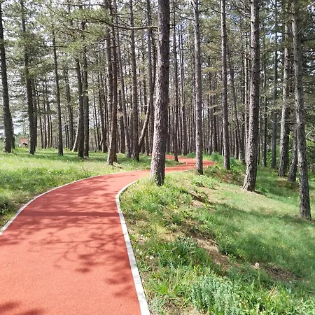 Visnjica Free & Pool זלאטיבור