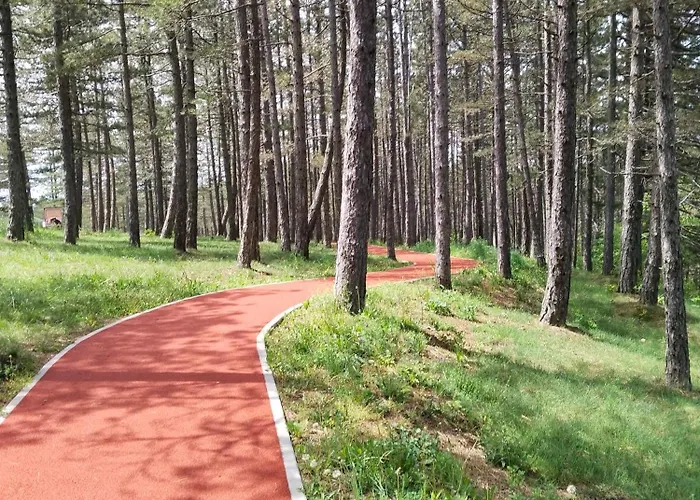 Visnjica Free & Pool Zlatibor